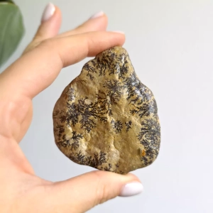 Dendryty manganowe na wapieniu - bryłka surowa - 129 g