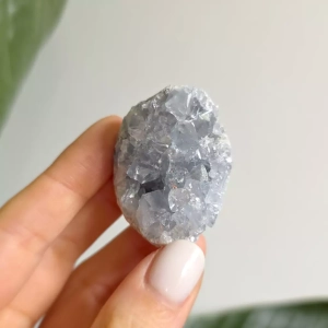 Celestyn - szczotka - 59 g